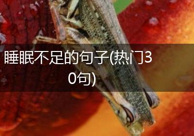 睡眠不足的句子(热门30句)