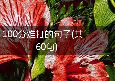 100分难打的句子(共60句)