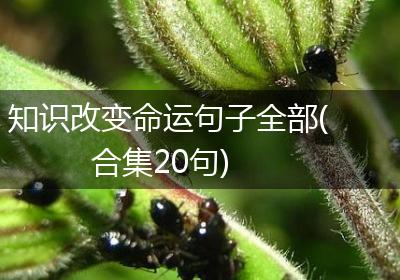 知识改变命运句子全部(合集20句)