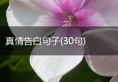 真情告白句子(30句)