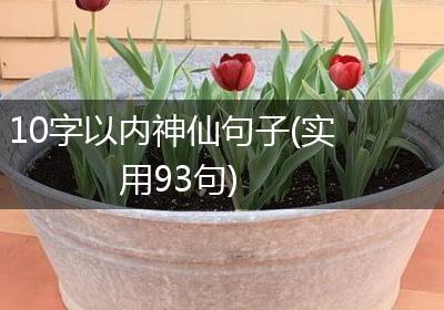10字以内神仙句子(实用93句)