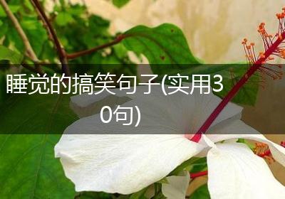 睡觉的搞笑句子(实用30句)