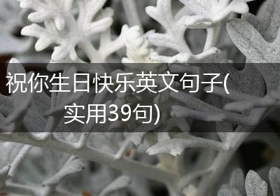祝你生日快乐英文句子(实用39句)