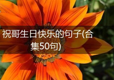 祝哥生日快乐的句子(合集50句)