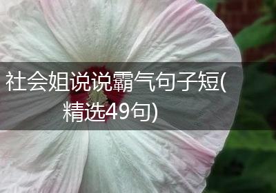 社会姐说说霸气句子短(精选49句)