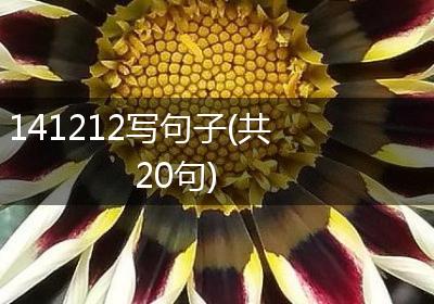 141212写句子(共20句)
