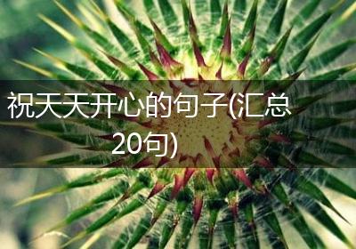 祝天天开心的句子(汇总20句)