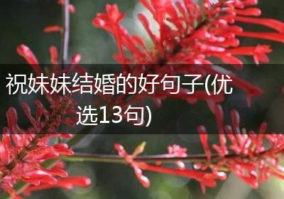 祝妹妹结婚的好句子(优选13句)