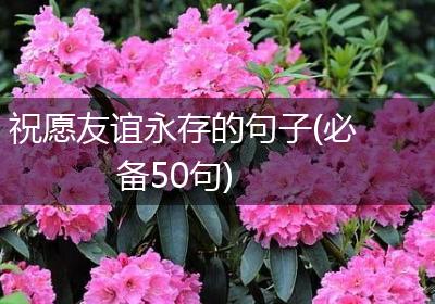 祝愿友谊永存的句子(必备50句)