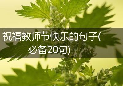 祝福教师节快乐的句子(必备20句)