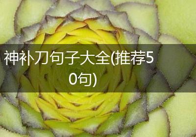 神补刀句子大全(推荐50句)