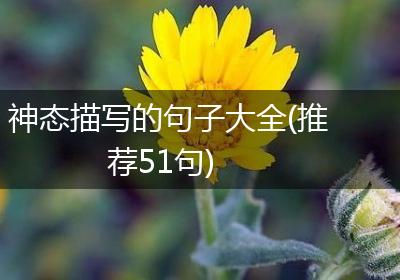 神态描写的句子大全(推荐51句)