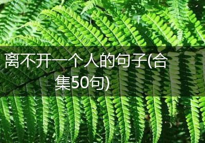 离不开一个人的句子(合集50句)