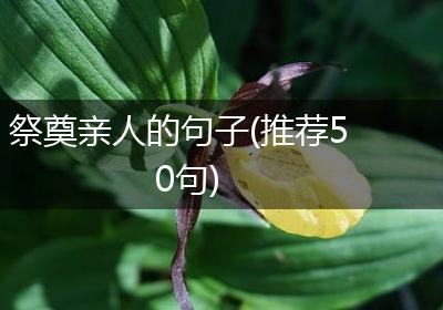 祭奠亲人的句子(推荐50句)