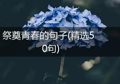 祭奠青春的句子(精选50句)