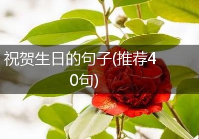 祝贺生日的句子(推荐40句)