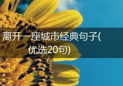 离开一座城市经典句子(优选20句)