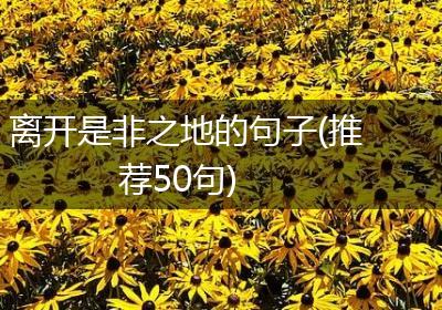 离开是非之地的句子(推荐50句)