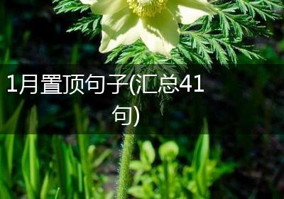 1月置顶句子(汇总41句)