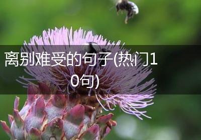 离别难受的句子(热门10句)