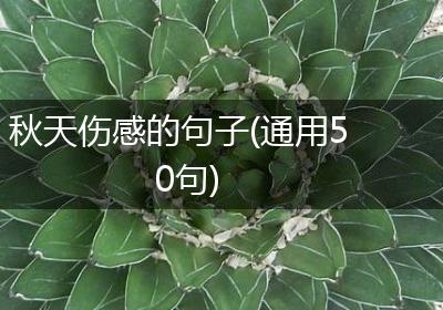 秋天伤感的句子(通用50句)