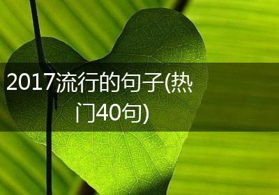 2017流行的句子(热门40句)
