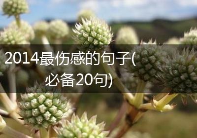 2014最伤感的句子(必备20句)