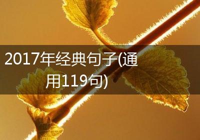 2017年经典句子(通用119句)