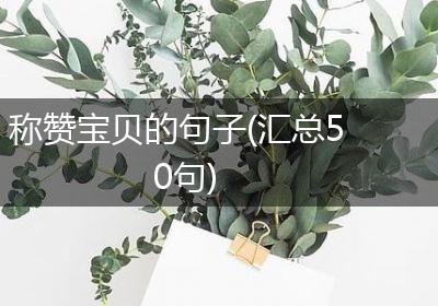 称赞宝贝的句子(汇总50句)