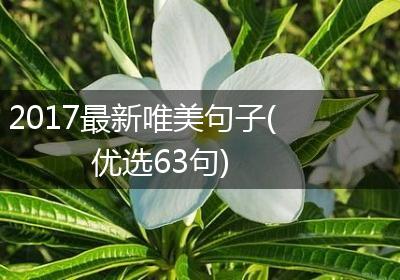 2017最新唯美句子(优选63句)