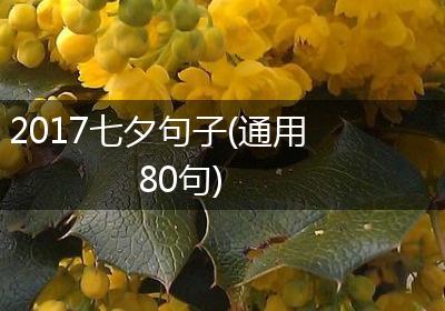 2017七夕句子(通用80句)