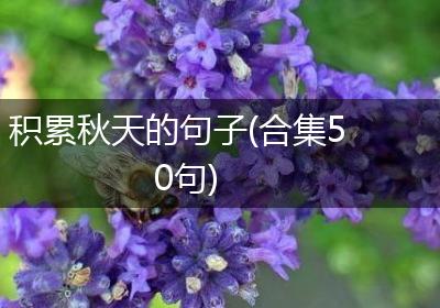 积累秋天的句子(合集50句)