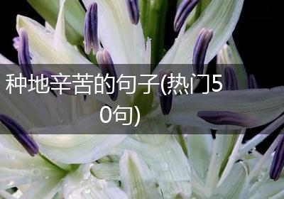 种地辛苦的句子(热门50句)