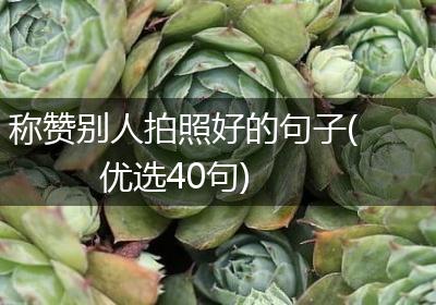 称赞别人拍照好的句子(优选40句)