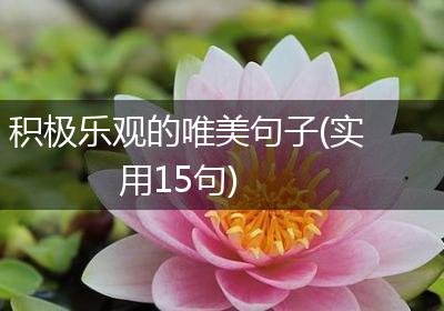 积极乐观的唯美句子(实用15句)