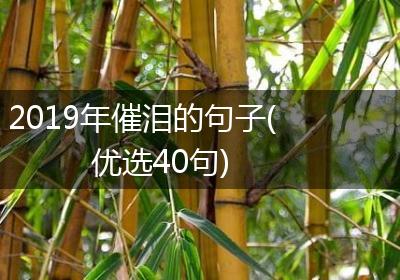 2019年催泪的句子(优选40句)