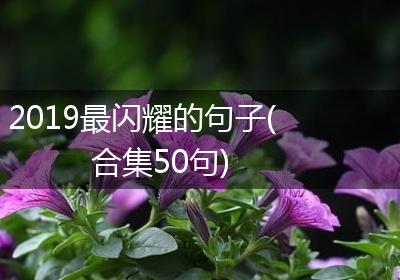 2019最闪耀的句子(合集50句)