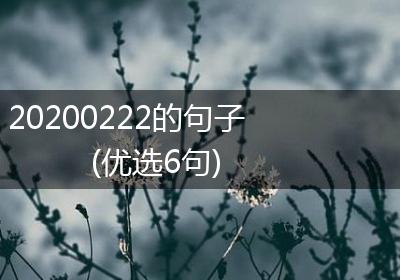 20200222的句子(优选6句)