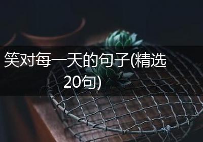 笑对每一天的句子(精选20句)