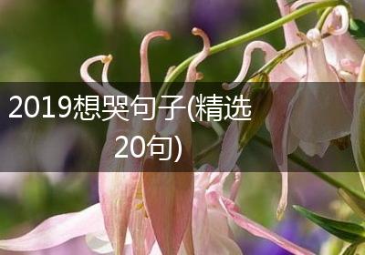 2019想哭句子(精选20句)