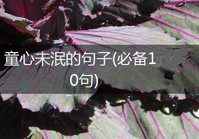 童心未泯的句子(必备10句)