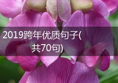 2019跨年优质句子(共70句)