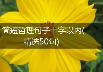 简短哲理句子十字以内(精选50句)