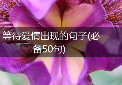 等待爱情出现的句子(必备50句)