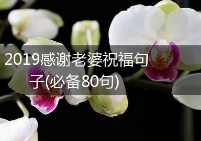 2019感谢老婆祝福句子(必备80句)