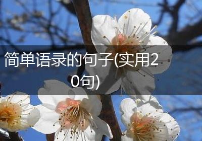 简单语录的句子(实用20句)