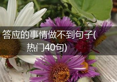 答应的事情做不到句子(热门40句)