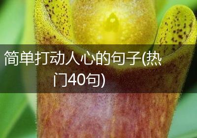简单打动人心的句子(热门40句)