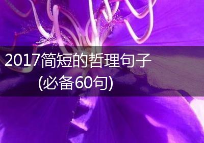 2017简短的哲理句子(必备60句)