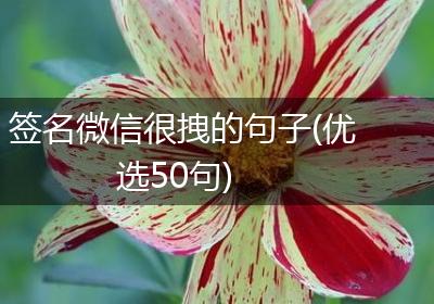 签名微信很拽的句子(优选50句)